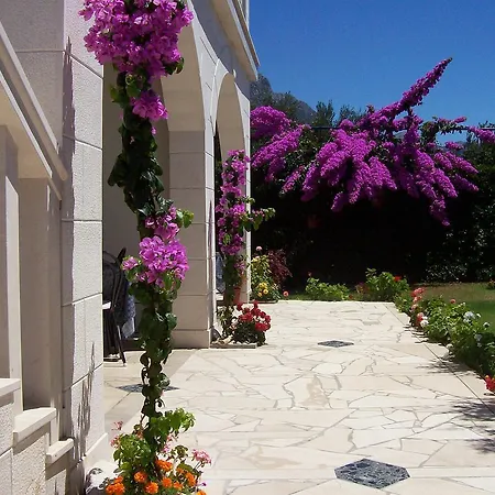 Studio Podaca 6736a * Veliki Drvenik